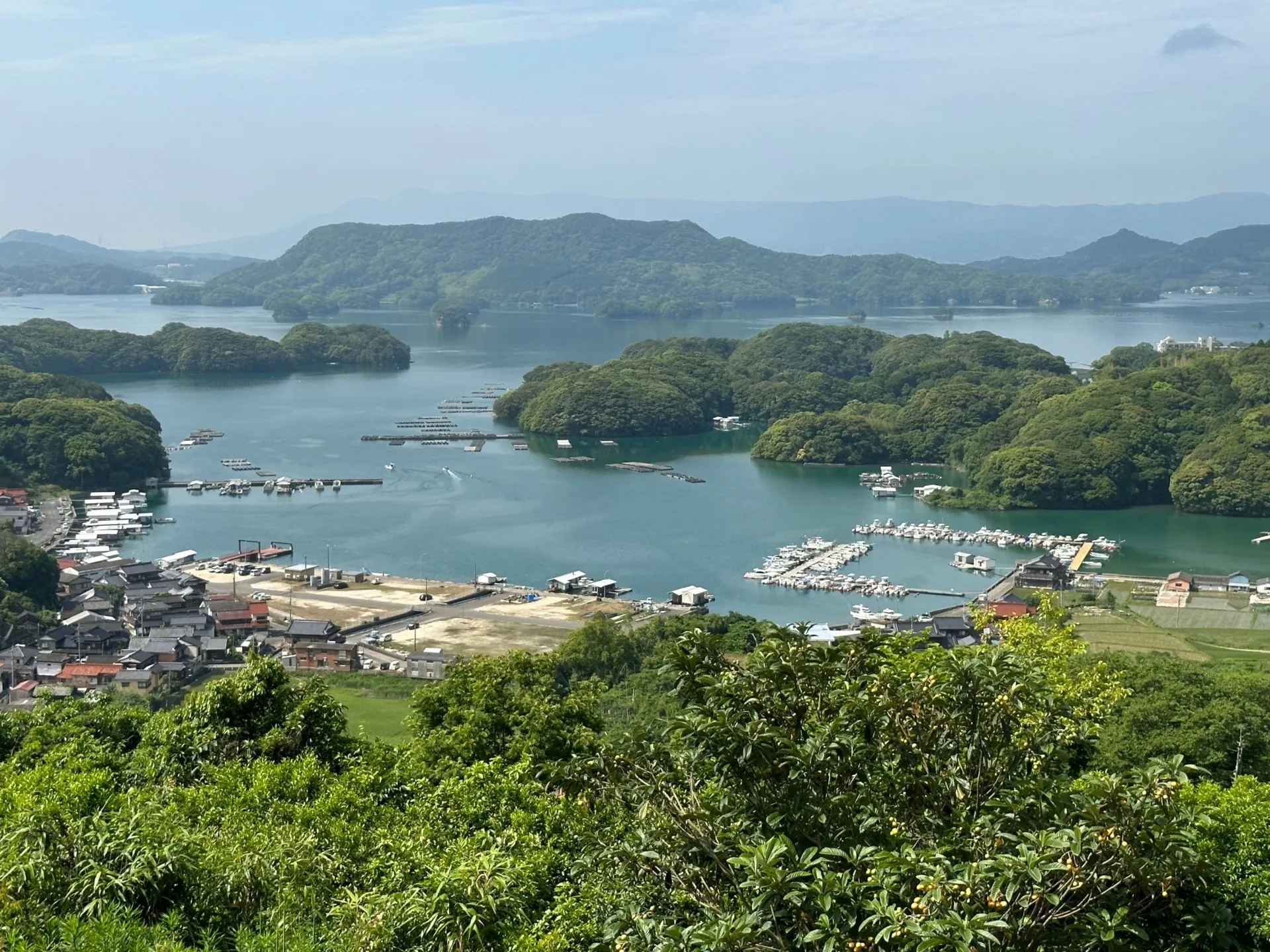 生産地